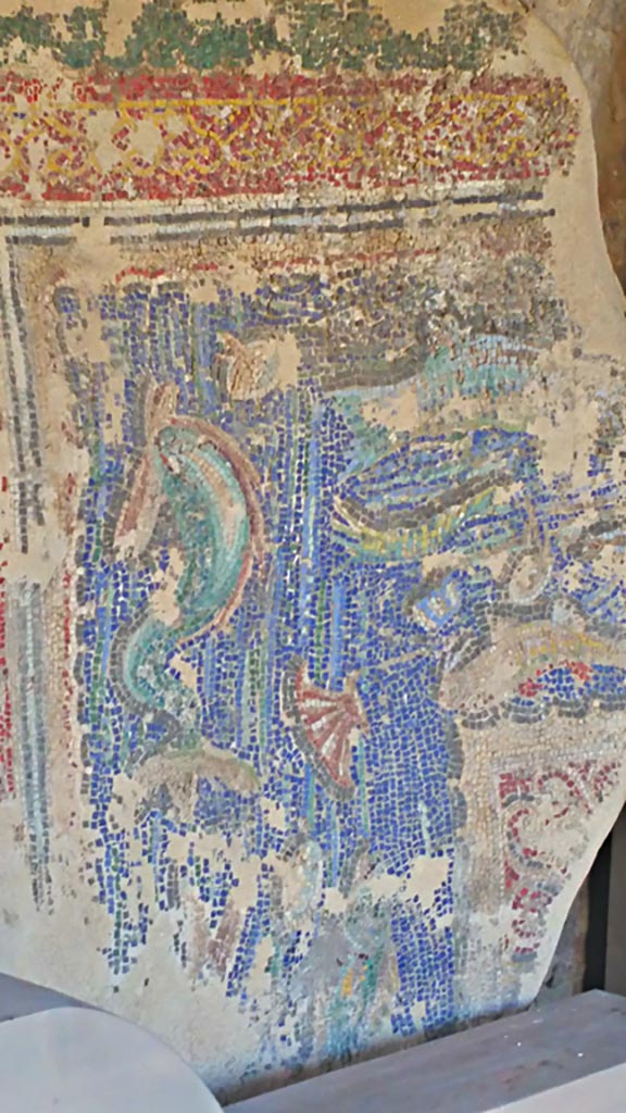 VII.7.5 Pompeii. December 2019. Detail from mosaic fragment.
Photo courtesy of Giuseppe Ciaramella.

