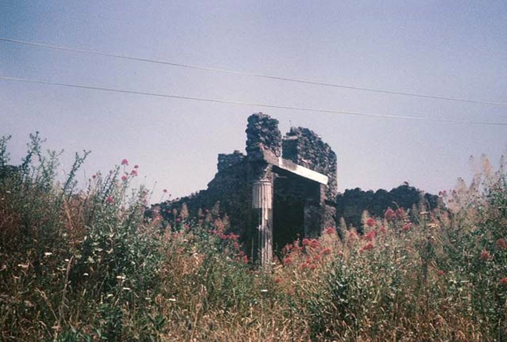 VII.7.23 Pompeii, August 1965. Looking south-east towards column in garden area. Photo courtesy of Rick Bauer.
