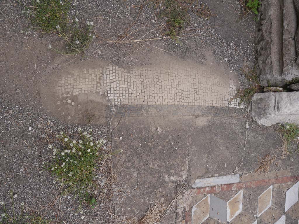 VII.7.32 Pompeii. March 2019. Looking south across cella towards doorway to podium.
Foto Anne Kleineberg, ERC Grant 681269 DÉCOR.
