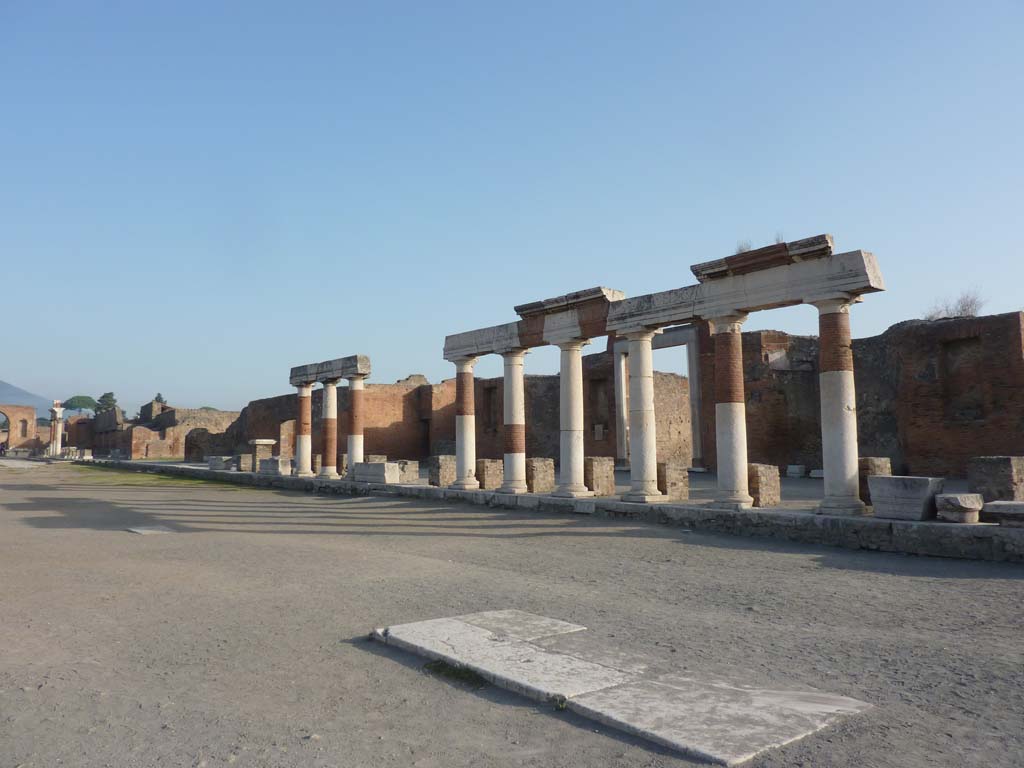 VII.8 Forum. October 2014. Looking north along east side.
Foto Annette Haug, ERC Grant 681269 DÉCOR.