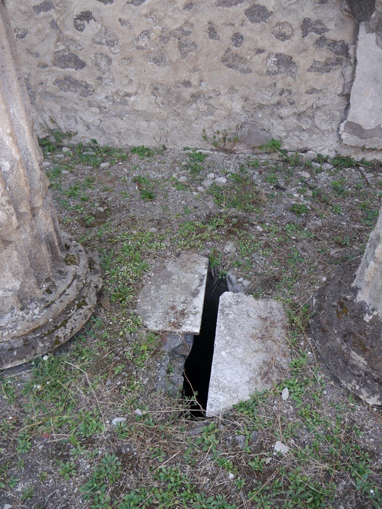 VII.8.01 Pompeii. September 2018. Area on west portico between two columns.
Foto Anne Kleineberg, ERC Grant 681269 DÉCOR.


