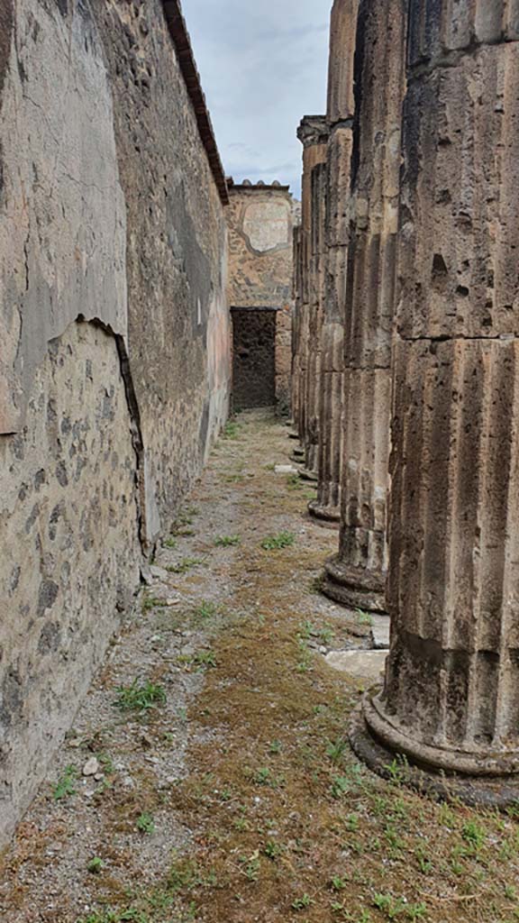 VII.8.1 Pompeii. August 2021. Looking north along west wall in Temple.
Foto Annette Haug, ERC Grant 681269 DÉCOR.
