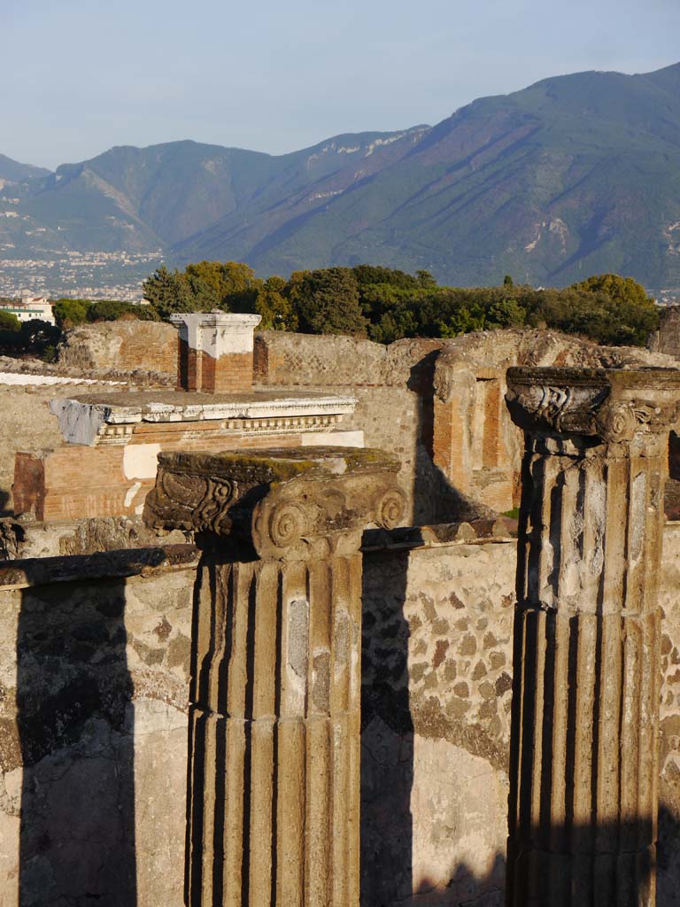 VII.8.01 Pompeii. September 2018. Detail of capitals on columns near east wall of Temple.
Foto Anne Kleineberg, ERC Grant 681269 DÉCOR.
