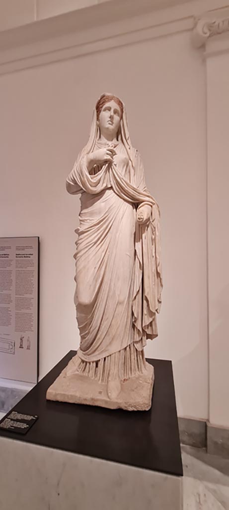 VII.9.1 Pompeii. April 2023. White marble statue of Eumachia.
On display in “Campania Romana” gallery in Naples Archaeological Museum, inv. 6232.
Photo courtesy of Giuseppe Ciaramella.
