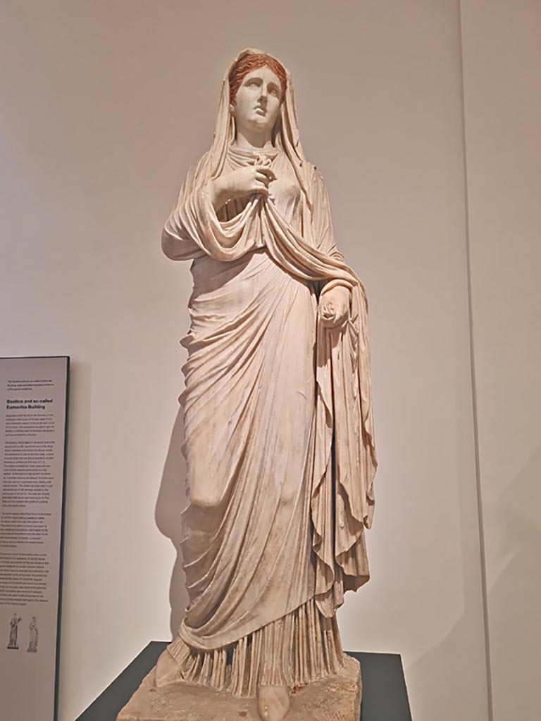 VII.9.1 Pompeii. April 2023. White marble statue of Eumachia.
On display in “Campania Romana” gallery in Naples Archaeological Museum, inv. 6232.
Photo courtesy of Giuseppe Ciaramella.
