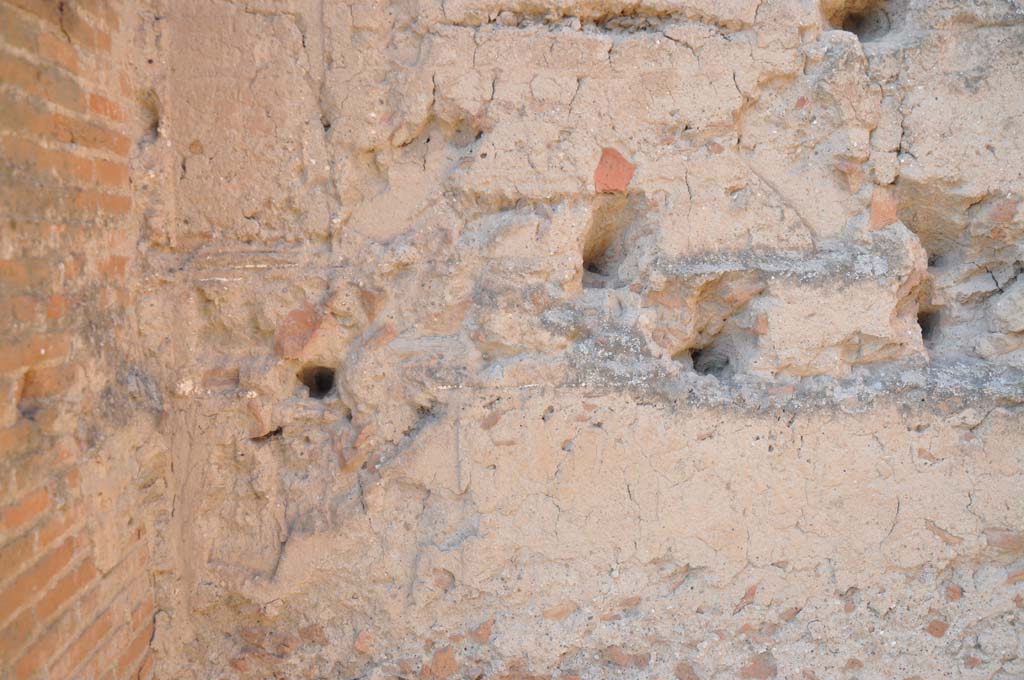 VII.9.2 Pompeii. July 2017. Detail from west end of north wall of cella.
Foto Anne Kleineberg, ERC Grant 681269 DÉCOR.
