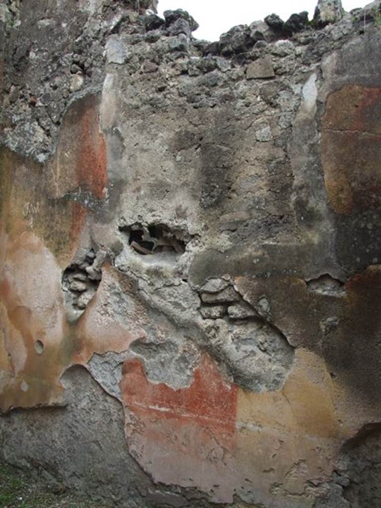 VII.9.47 Pompeii.  March 2009.  Room 9. Cubiculum.  North wall.