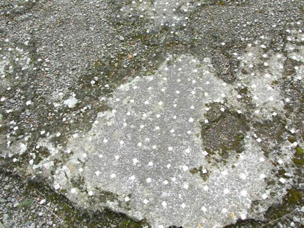 VII.9.47 Pompeii. March 2009. Room 1. Atrium. Remains of floor.