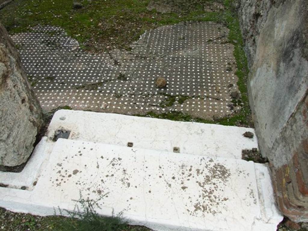 VII.9.47 Pompeii. March 2009. Room 2. Cubiculum door sill and floor.