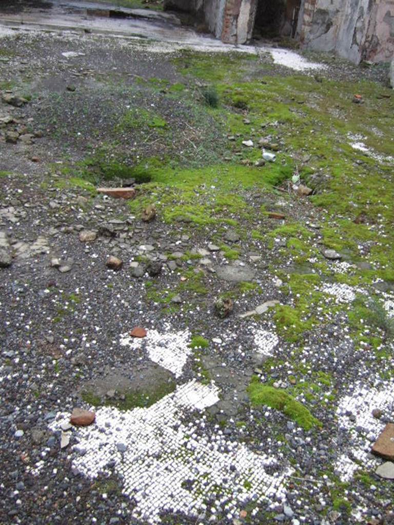 VII.10.3 Pompeii. December 2005. Atrium 3, with remains of impluvium and mosaic floor.
According to Amoroso, the impluvium was not in line with the entrance doorway. (p.44)
Originally the floor would have been in cocciopesto, but when the house was redecorated the atrium was given a new mosaic floor. The floor was composed of white tesserae with a border of two strips of three lines of black tesserae. (p.73)
Many of the rooms would have had a simple floor of cocciopesto, however, it should not be forgotten that certain rooms would have had floors and wall decorations of some merit and of these, now there is little visible trace. (p.59) 
The walls of the atrium would have been seen with a rich decoration of painted final IVth-style plaster. There would have been a high zoccolo (plinth/dado) composed of figurative panels on a white background, separated by yellow-ochre colour painted strips. The central area of the walls had a white background, subdivided into wide red and yellow panels, separated by a border. With regard to the plinth of the north wall, small square painted panels were documented. The decoration of the base of the south wall showed similar motifs to those on the opposite wall. A trace of a black dove was still visible on the top of the SE zoccollo. (p.73)
Studi della Soprintendenza archeologica di Pompei, 22: l”Insula VII, 10 di Pompei, by Angelo Amoroso, (p.44,59,73) 

According to Breton, the paintings from the atrium walls were almost all gone, but on the base of the walls it was still possible to see vases, a red partridge, some lions chasing bulls, dogs chasing a wild boar and a dog watching sheep. Several rooms around the atrium were fairly well decorated.
See Breton, Ernest. 1870. Pompeia, Guide de visite a Pompei, 3rd ed. Paris, Guerin. 

