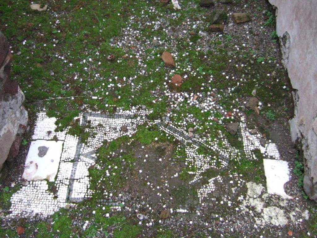 VII.10.3 Pompeii. December 2005.  Room 12. Mosaic floor and marble door supports in door threshold.