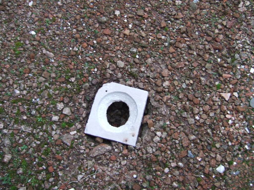 VII.10.5 Pompeii. December 2005. Atrium floor, on east side of entrance corridor.   