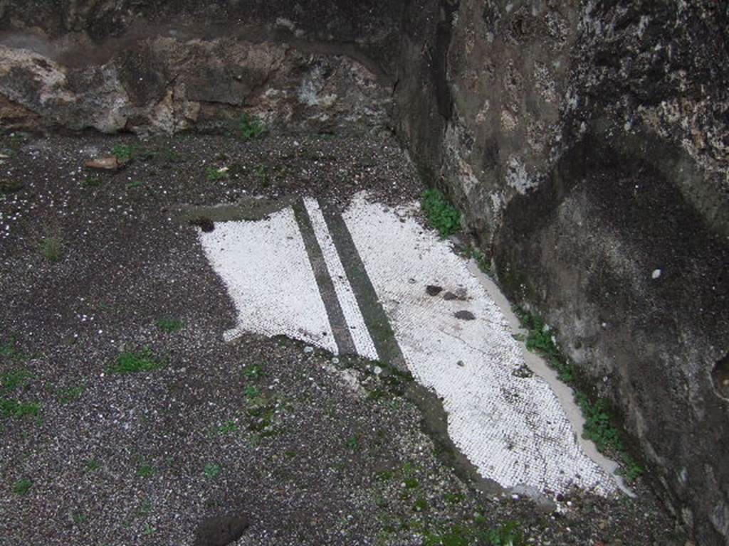 VII.10.5   Pompeii. December 2005. Remains of mosaic floor in exedra. 