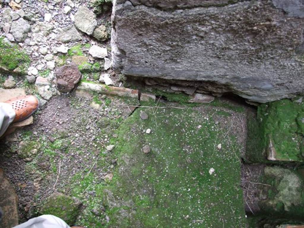 VII.10.9 Pompeii.  March 2009. Floor of Latrine.