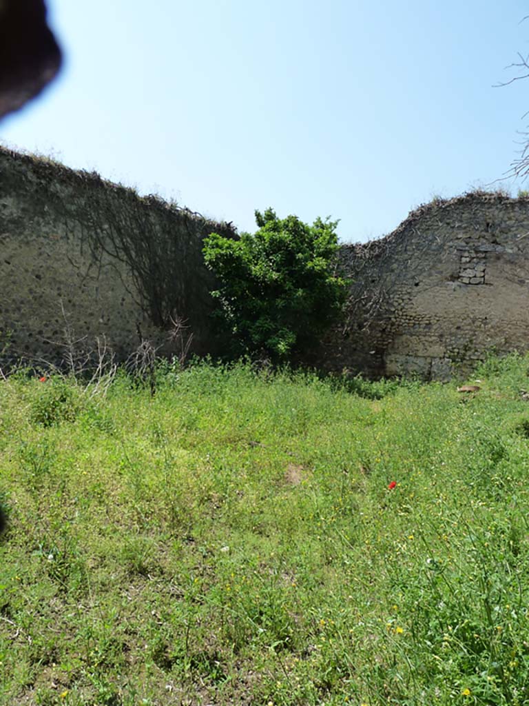 VII.10.14 Pompeii. May 2010. Looking west from entrance towards south-west corner.