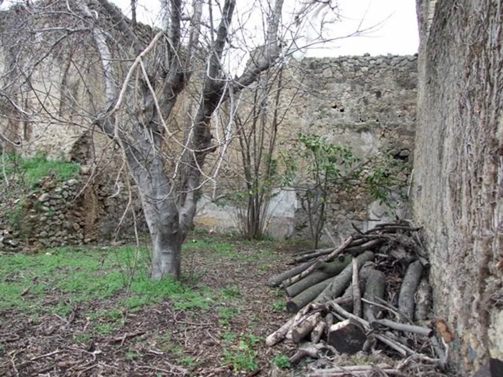 VII.11.14 Pompeii.  March 2009.  Garden “C”, North east corner.