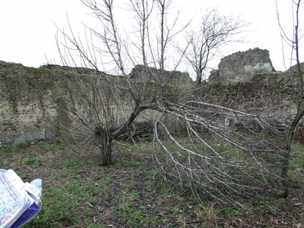 VII.11.14 Pompeii.  March 2009. Garden “C”, South west corner.