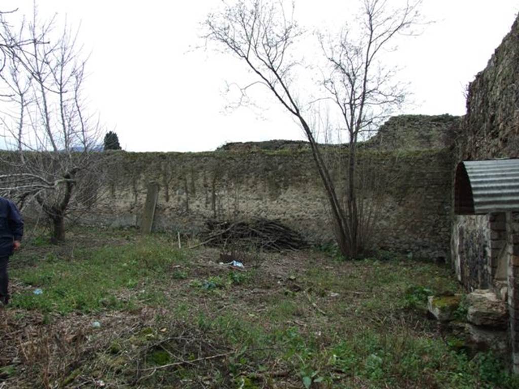VII.11.14 Pompeii.  March 2009. Garden “C”,  Looking South along west wall.