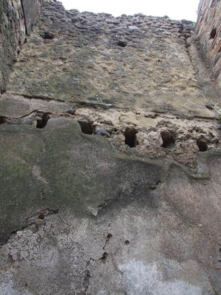 VII.11.14 Pompeii.  March 2009. Room 9.  West upper wall.