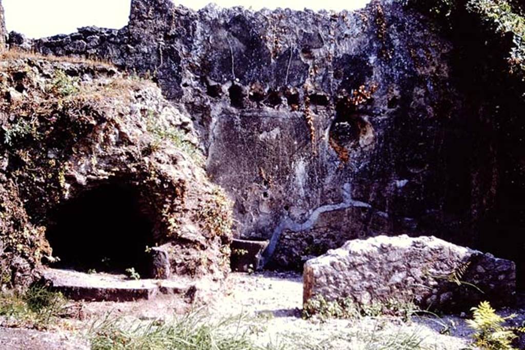 VII.12.13 Pompeii. 1966. South wall with oven and bakery area. Photo by Stanley A. Jashemski.
Source: The Wilhelmina and Stanley A. Jashemski archive in the University of Maryland Library, Special Collections (See collection page) and made available under the Creative Commons Attribution-Non Commercial License v.4. See Licence and use details.
J66f0644