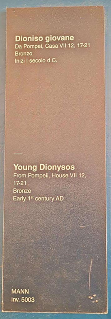 VII.12.21 Pompeii. October 2023.
Description card for Young Dionysus inv. 5003. Photo courtesy of Giuseppe Ciaramella. 


