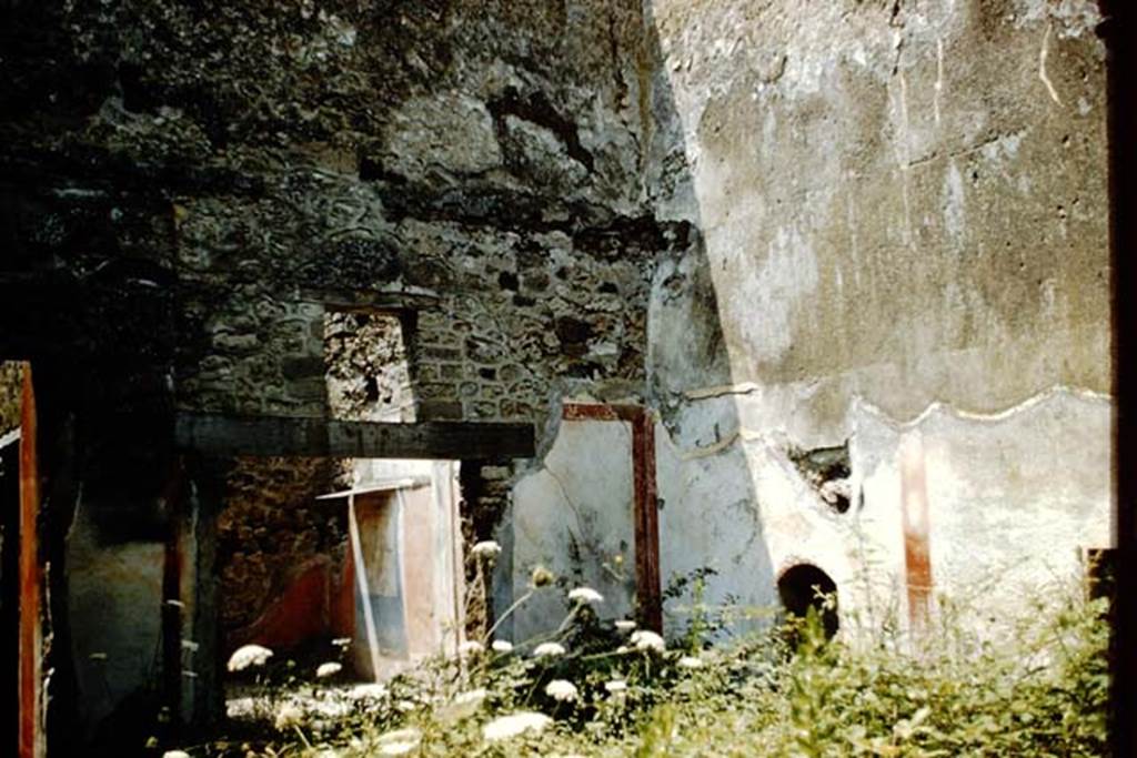 VII.12.23 Pompeii. 1959. North wall of garden area, on right. In the west (left) wall was a window with a marble sill. Through the window the north wall of the neighbouring room can be still be seen with a black zoccolo, a blue central panel and red side panels. The upper zone of the wall was faded. The painting in the centre of the blue panel, being protected in vain by a small roof, according to Helbig (H.1281) would have shown Hermes indicating to Paris the arrival of the three goddesses, from which he had to choose the most beautiful.
Photo by Stanley A. Jashemski.
Source: The Wilhelmina and Stanley A. Jashemski archive in the University of Maryland Library, Special Collections (See collection page) and made available under the Creative Commons Attribution-Non Commercial License v.4. See Licence and use details.
J59f0111
See Helbig, W., 1868. Wandgemälde der vom Vesuv verschütteten Städte Campaniens. Leipzig: Breitkopf und Härtel.(H.1281).
