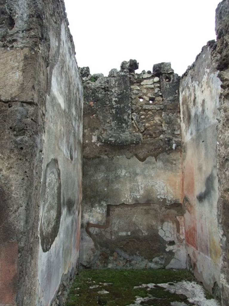 VII.14.5 Pompeii.  March 2009. Room 3. West wall.