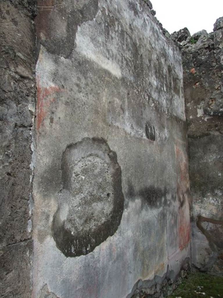 VII.14.5 Pompeii.  March 2009. Room 3. South wall.
