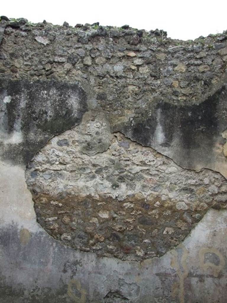 VII.14.5 Pompeii.  March 2009. Room 14. South wall.