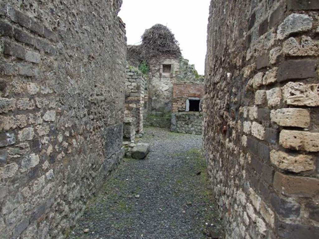 VII.14.5 Pompeii.  March 2009.  Room 15.  Corridor leading south to kitchen area.  
