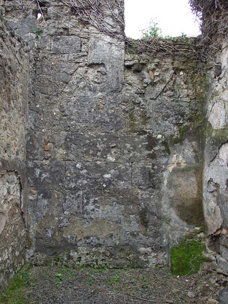 VII.14.5 Pompeii. March 2009. Room 17, east wall.