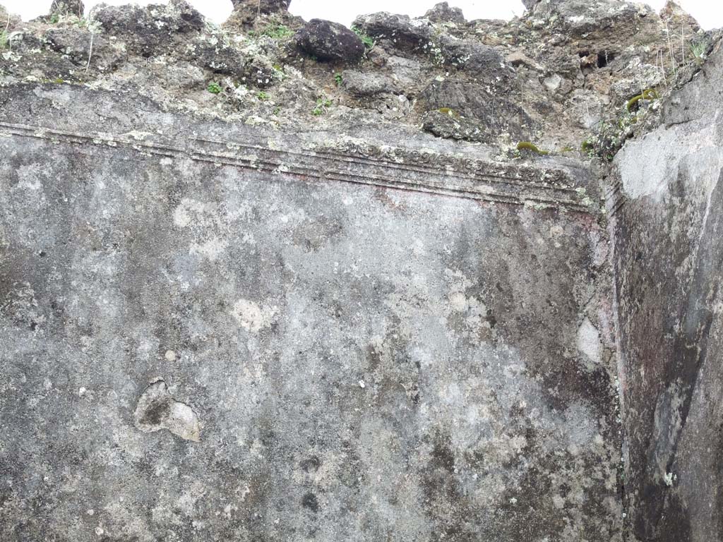 VII.14.5 Pompeii. March 2009. Small room or cupboard, remains of decorative stucco in south-west corner.