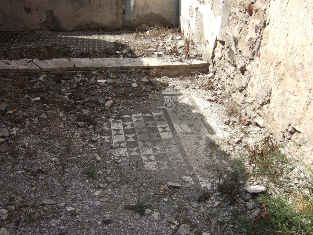 VII.15.2 Pompeii. September 2005. Mosaic floor of bedroom on west side of atrium.