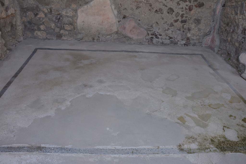 VII.15.2 Pompeii. October 2019. Looking west across white floor mosaic with black border in ala on west side of atrium.
Foto Annette Haug, ERC Grant 681269 DÉCOR.
