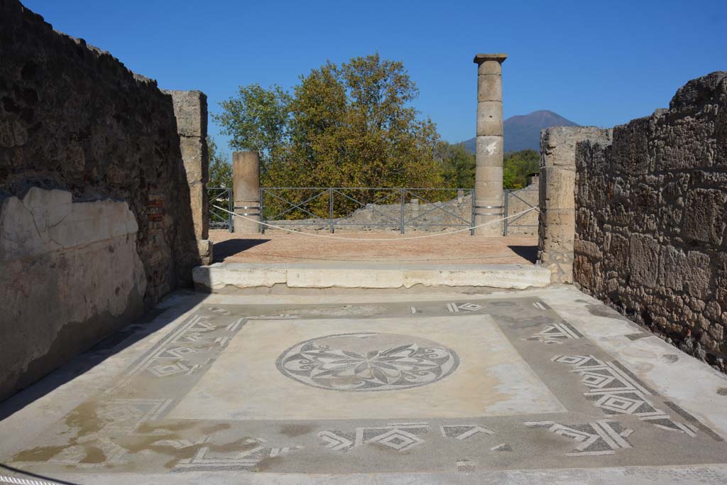 VII.15.2 Pompeii. October 2019. Looking north across mosaic in tablinum.
Foto Annette Haug, ERC Grant 681269 DÉCOR.
