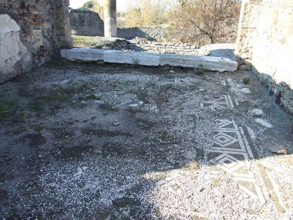 VII.15.2 Pompeii.  December 2007.  Mosaic floor in Tablinum.  This was bordered by a pattern of squares and diamonds in black and white.