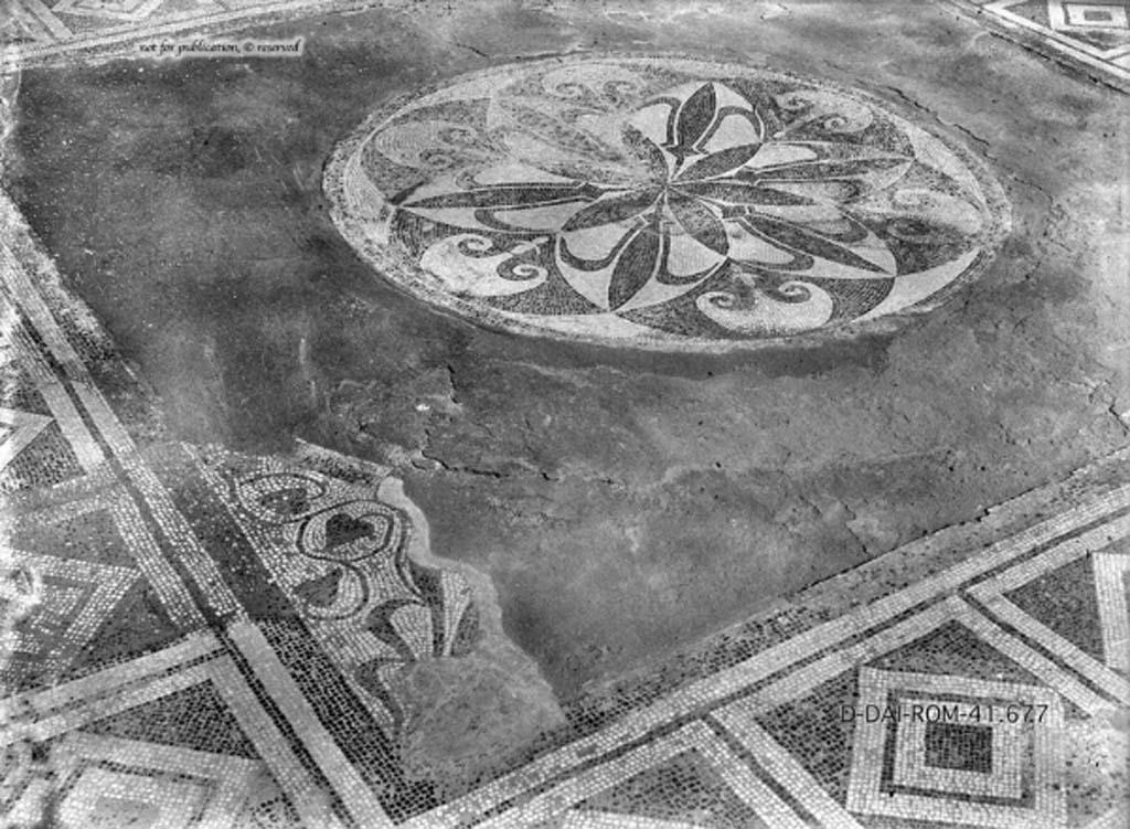 VII.15.2 Pompeii. c.1930. Detail of mosaic floor in tablinum.
DAIR 41.677. Photo © Deutsches Archäologisches Institut, Abteilung Rom, Arkiv.
See Pernice, E.  1938. Pavimente und Figürliche Mosaiken: Die Hellenistische Kunst in Pompeji, Band VI. Berlin: de Gruyter, (tav. 27.6, above.)

