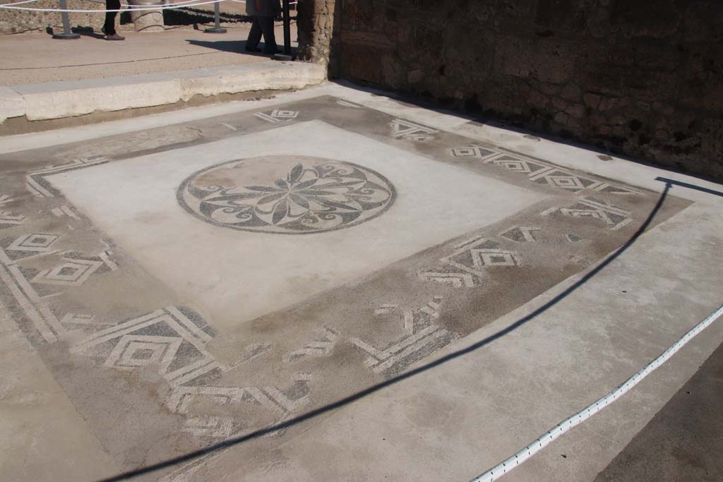 VII.15.2 Pompeii. September 2017. Looking north-east across mosaic in tablinum. Photo courtesy of Klaus Heese.

