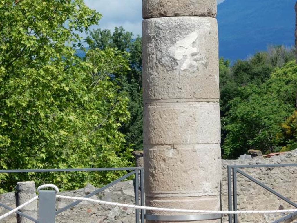 VII.15.2 Pompeii. May 2018. Column supporting the south portico, with remains of white painted stucco. The lower part of the column would have been painted black. Photo courtesy of Buzz Ferebee. 
