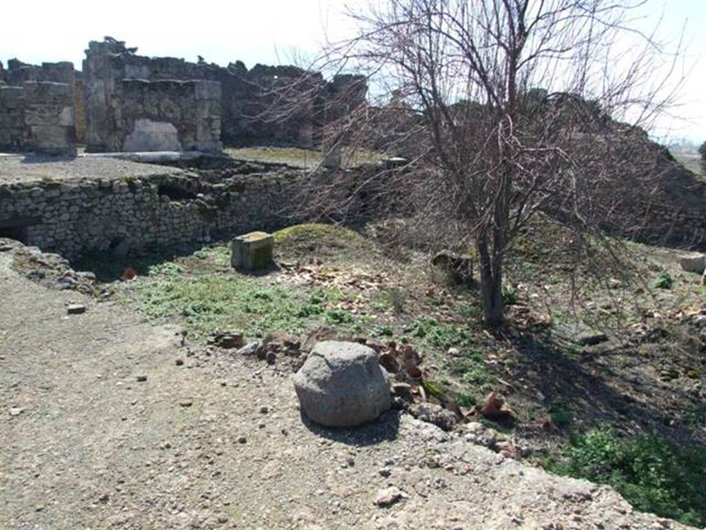 VII.15.2 Pompeii.  March 2009. Looking south west across garden area to Tablinum.