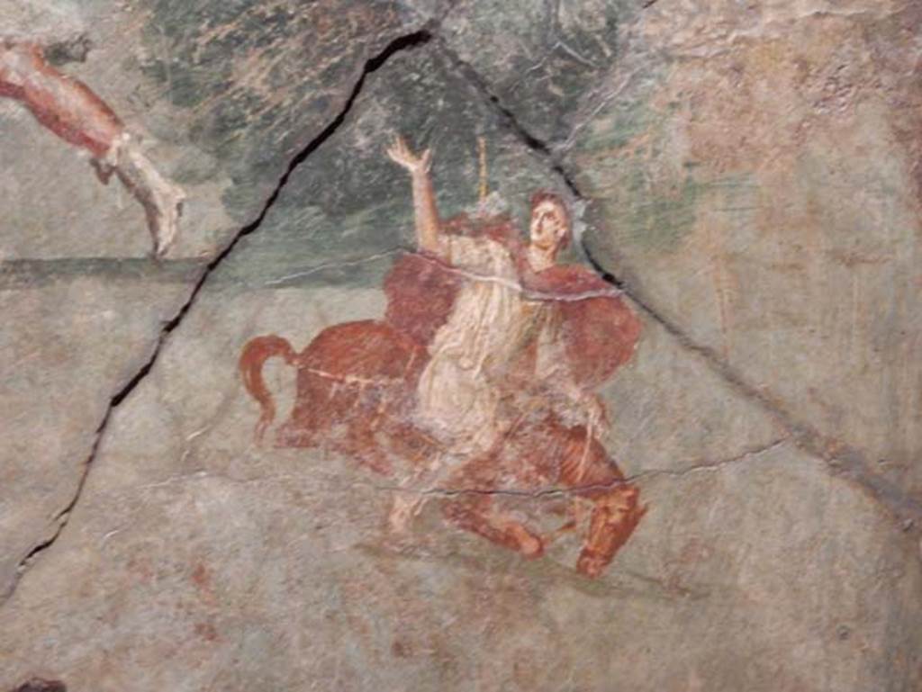 VII.15.2 Pompeii. May 2018. Detail from Slaughter of the Niobids from north wall of apodyterium/exedra. Photo courtesy of Buzz Ferebee. 
Now in Naples Archaeological Museum. Inventory number 111479.
