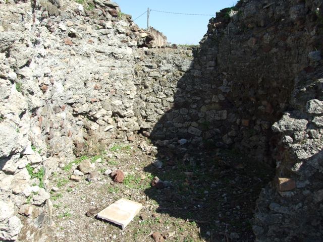 VII.15.2 Pompeii.  March 2009. Frigidarium. When excavated, this was in a very ruinous state.