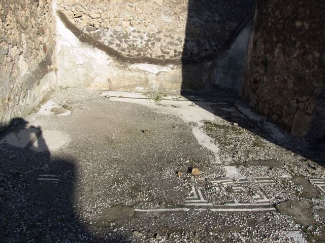 VII.15.2 Pompeii.  December 2007.  Mosaic floor in Ala on east side.