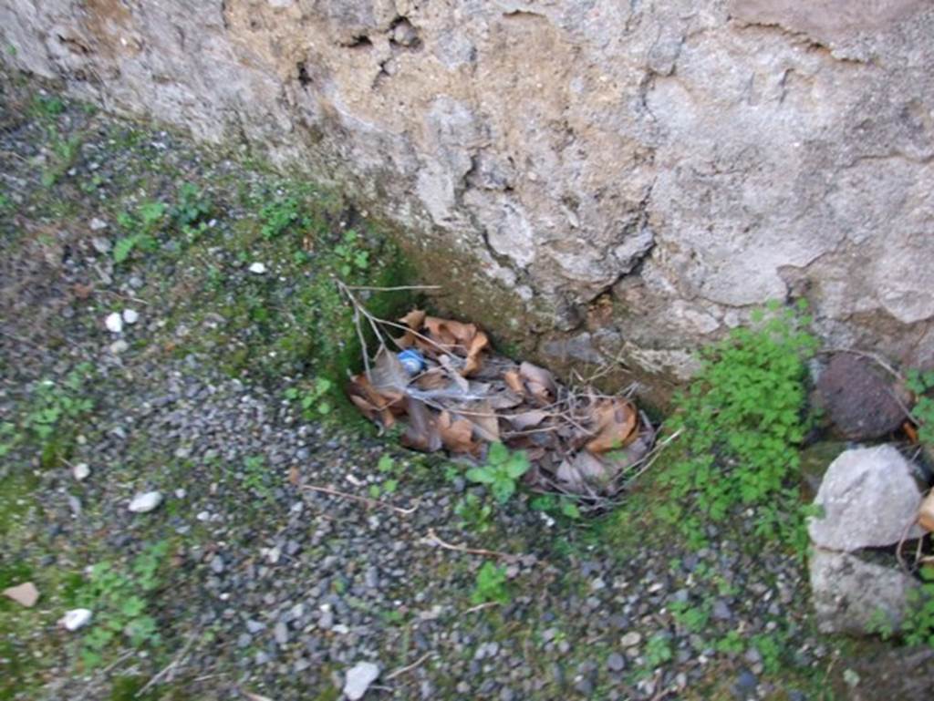 VII.15.13 Pompeii. December 2007. Garden at rear in south west corner.