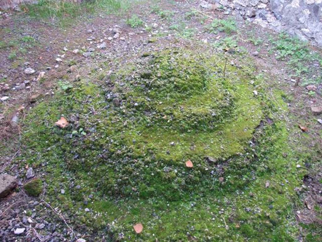 VII.15.13 Pompeii. December 2007. Garden at rear in south west corner.