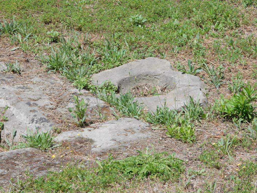 VII.16.12 Pompeii. June 2019. Room 24, remains of cistern-mouth on north side of impluvium.
Photo courtesy of Buzz Ferebee.