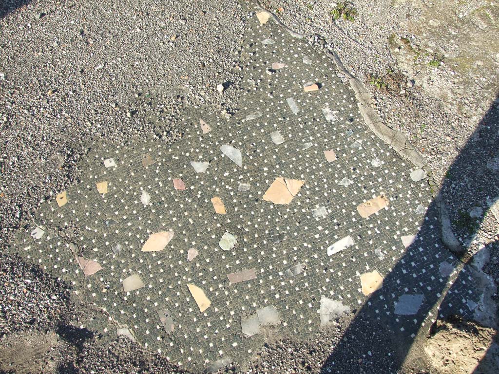 VII.16.13 Pompeii. December 2007. Room 2, floor in atrium. 
According to Mau, the floor of the atrium is made of a black mosaic with pieces of coloured marble arranged in rows, and white stripes at the edges.
See Mau, A., 1907, translated by Kelsey F. W. Pompeii: Its Life and Art. New York: Macmillan. (p. 300).
