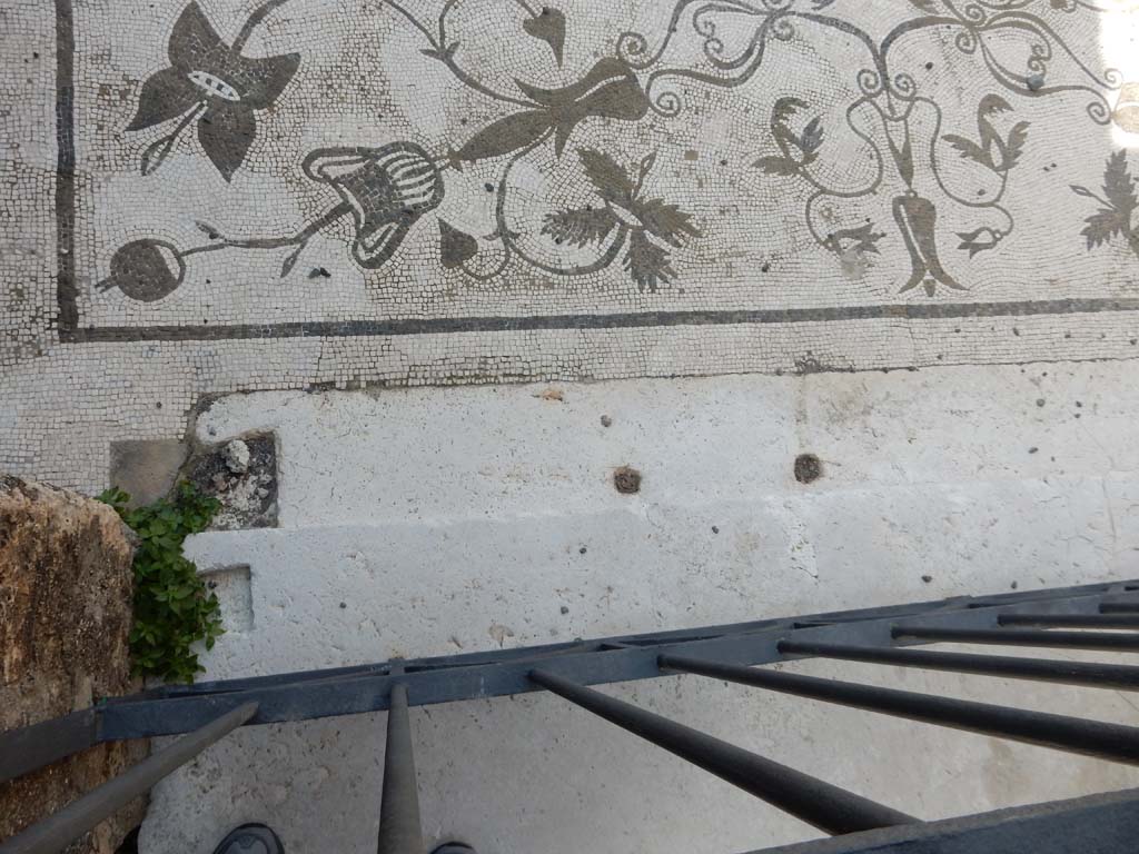 VII.16.13 Pompeii. June 2019. Entrance sill and mosaic threshold. Photo courtesy of Buzz Ferebee.