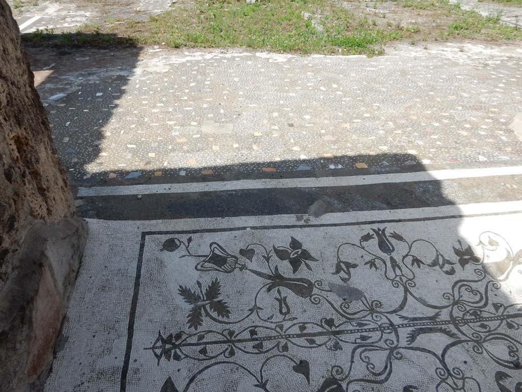 VII.16.13 Pompeii. June 2019. Entrance mosaic and atrium flooring. Photo courtesy Buzz Ferebee.