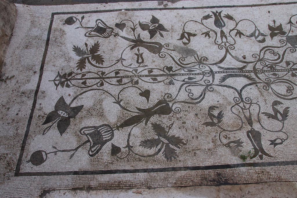 VII.16.13 Pompeii. October 2023. Detail of entrance mosaic at south end of doorway. Photo courtesy of Klaus Heese.